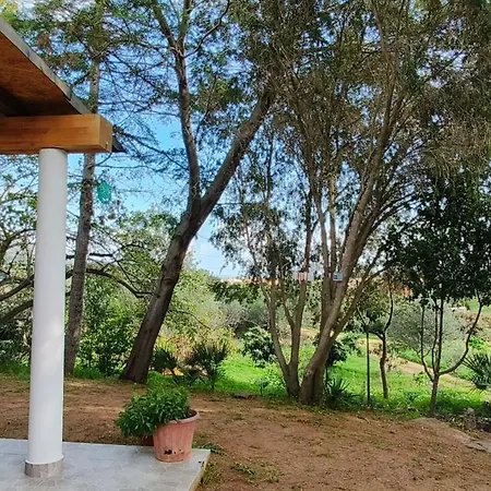 La Mimosa Bianca Tertenìa