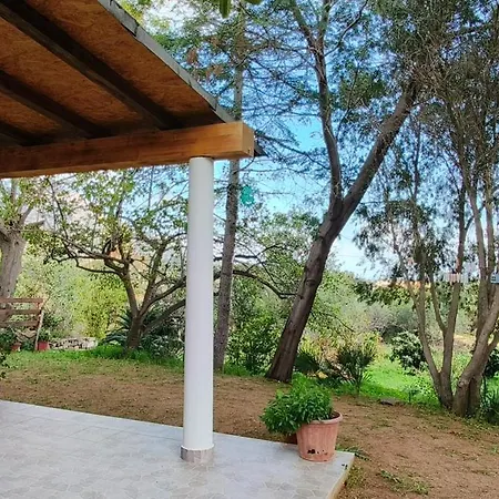 Apartament La Mimosa Bianca Tertenìa
